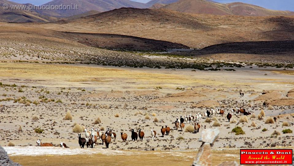 BOLIVIA 2 - Cordillera de Los Frailes - 34.jpg